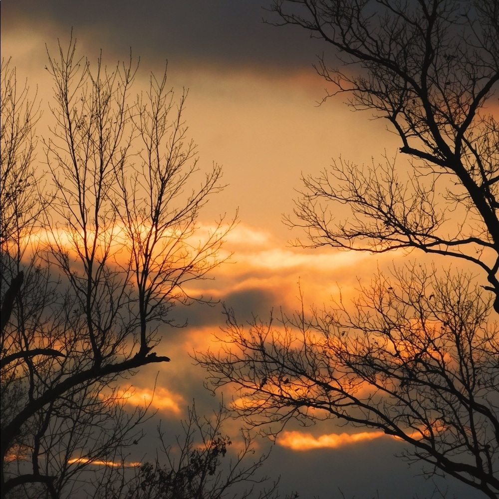 Meet your Posher, Kristina